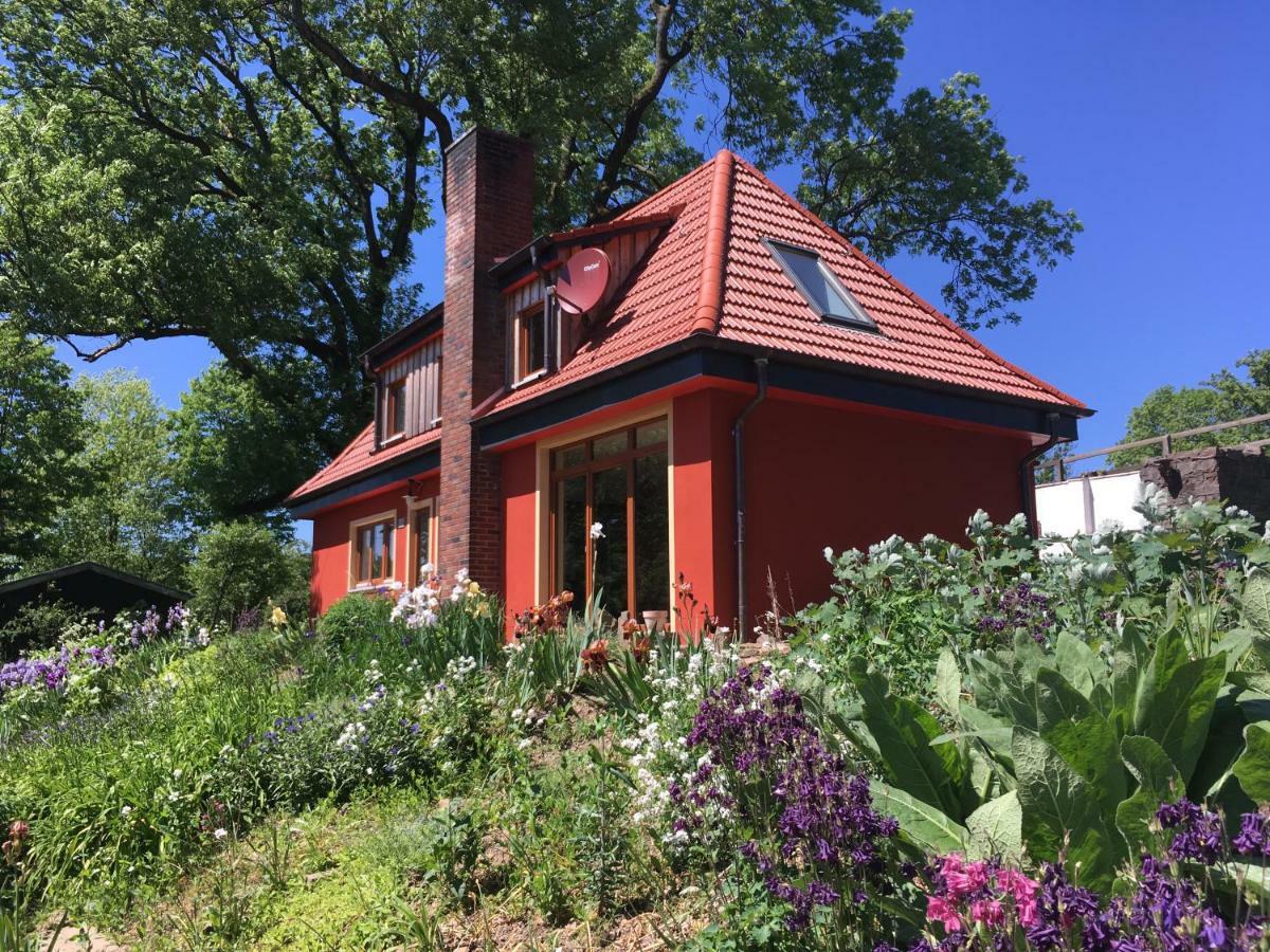 Kleine Villa Im Wilden Garten 古默斯巴赫 外观 照片