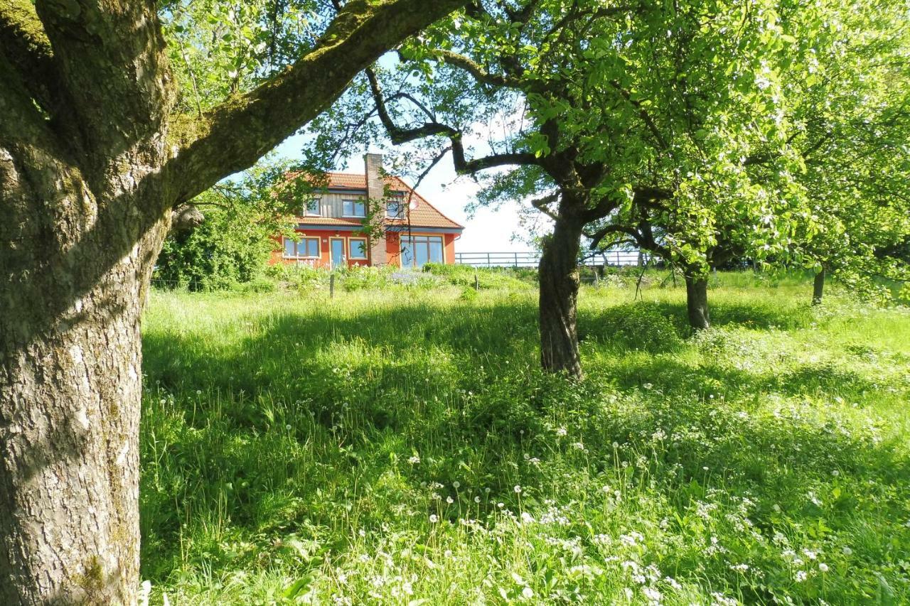 Kleine Villa Im Wilden Garten 古默斯巴赫 外观 照片