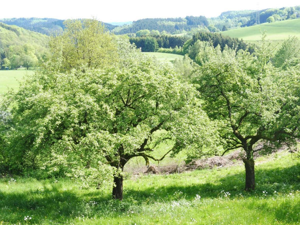 Kleine Villa Im Wilden Garten 古默斯巴赫 外观 照片