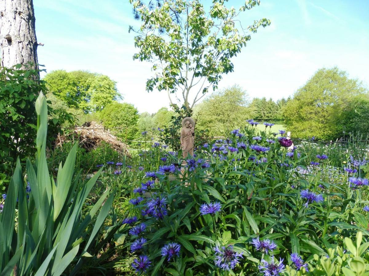 Kleine Villa Im Wilden Garten 古默斯巴赫 外观 照片