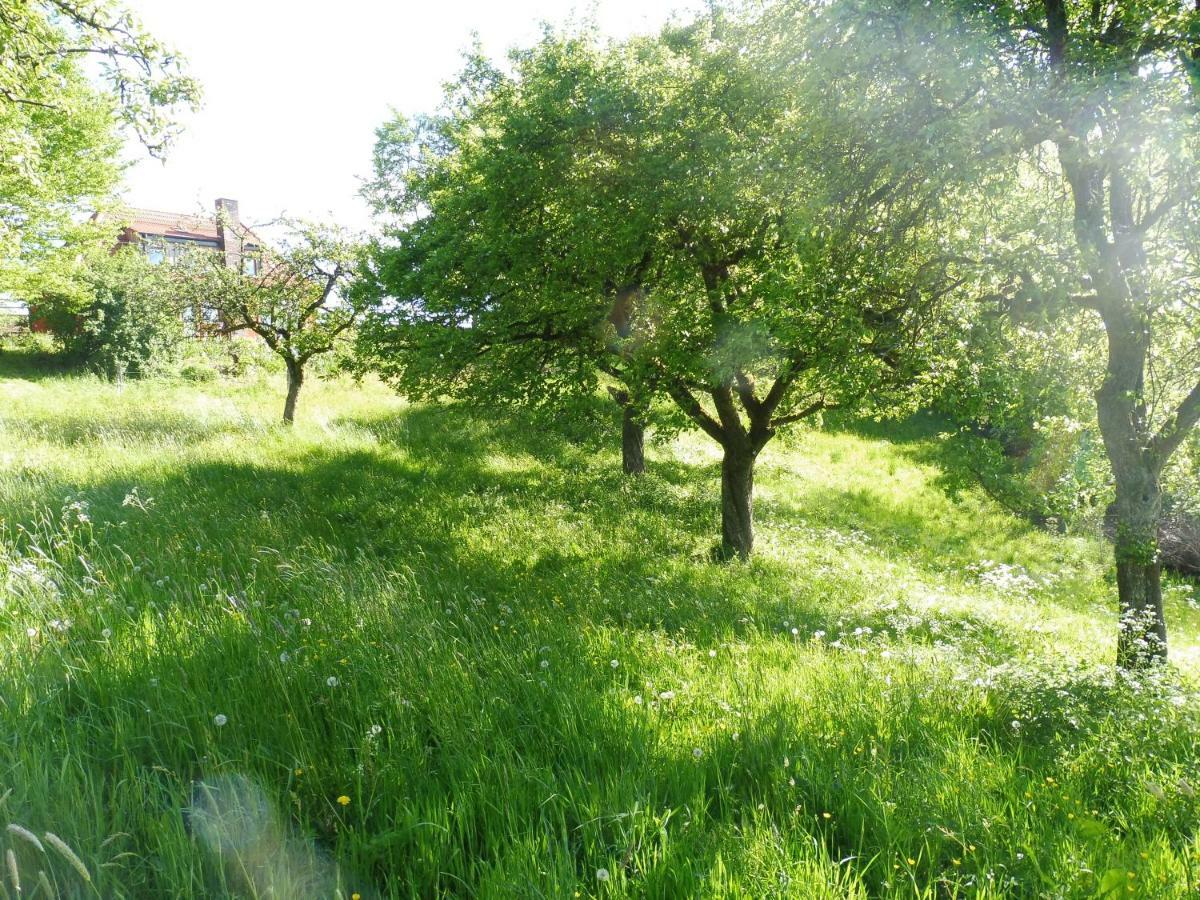 Kleine Villa Im Wilden Garten 古默斯巴赫 外观 照片