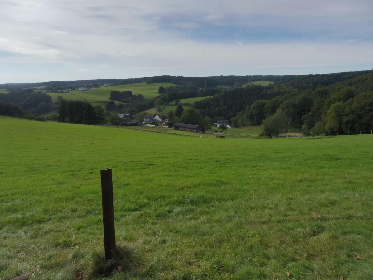 Kleine Villa Im Wilden Garten 古默斯巴赫 外观 照片