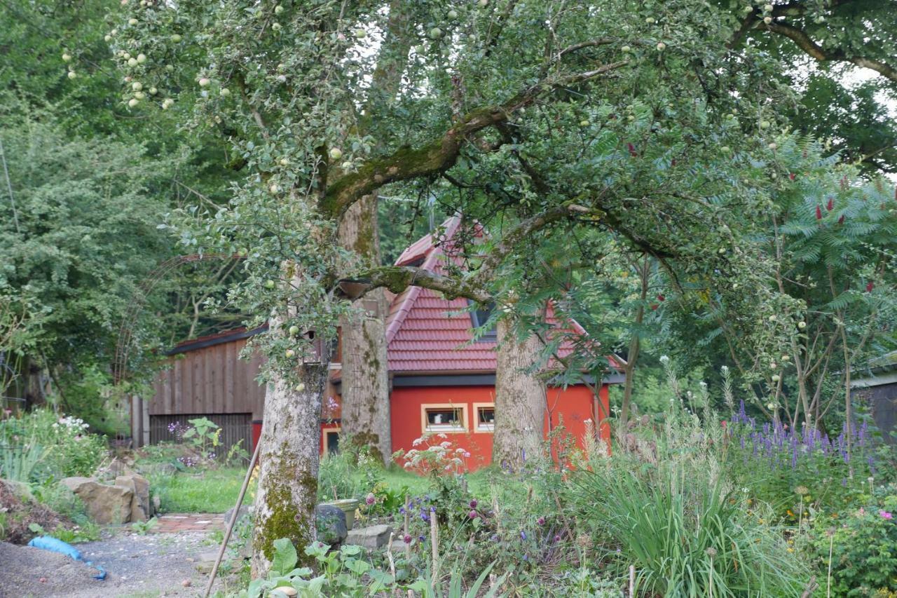 Kleine Villa Im Wilden Garten 古默斯巴赫 外观 照片