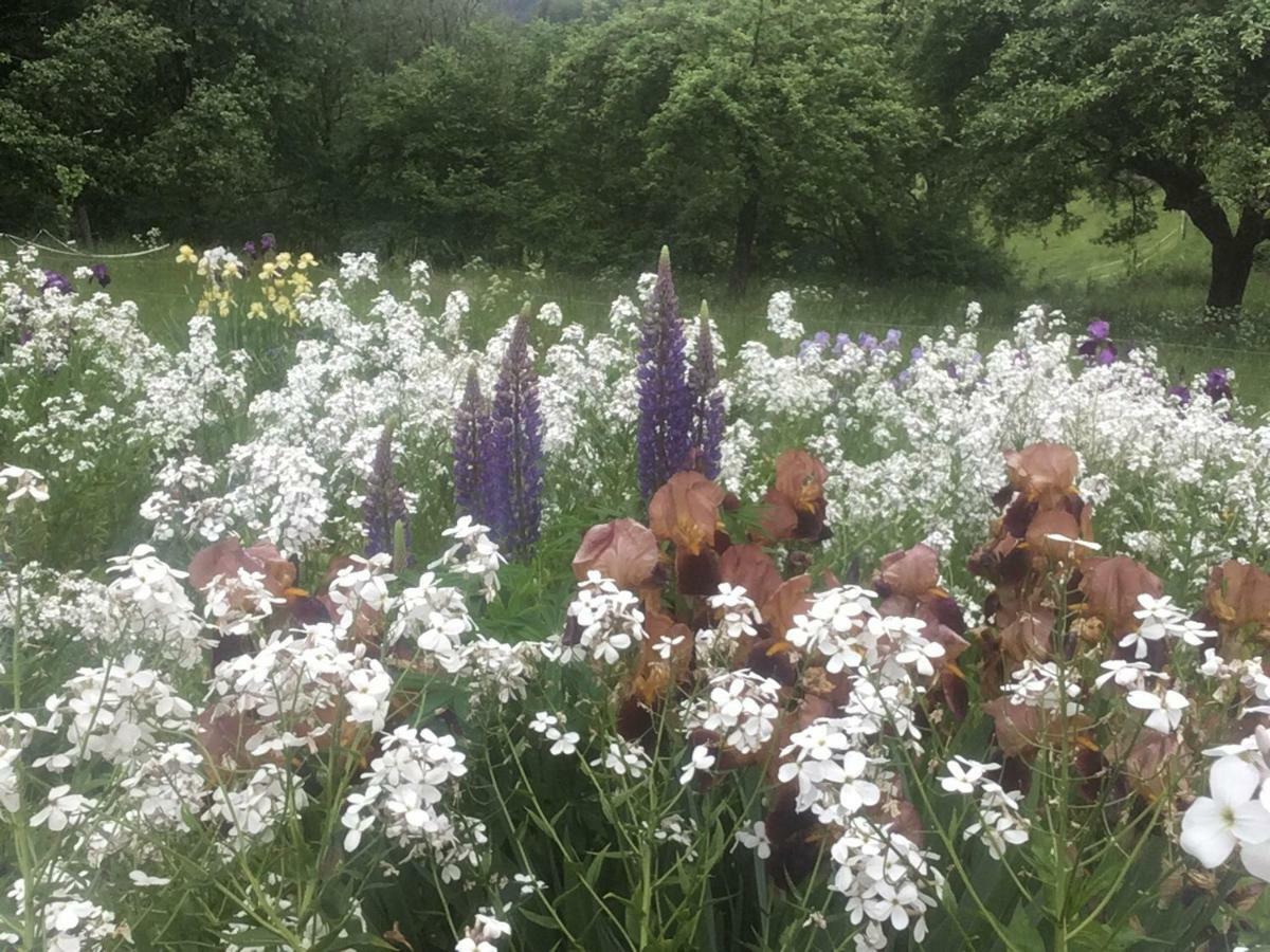 Kleine Villa Im Wilden Garten 古默斯巴赫 外观 照片